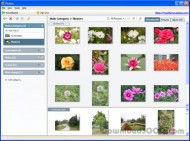 Picbus - Quick Photo Sharing screenshot